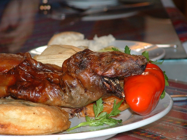 das arme Schwein.JPG